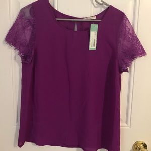 41 Hawthorn McQue solid lace sleeve blouse